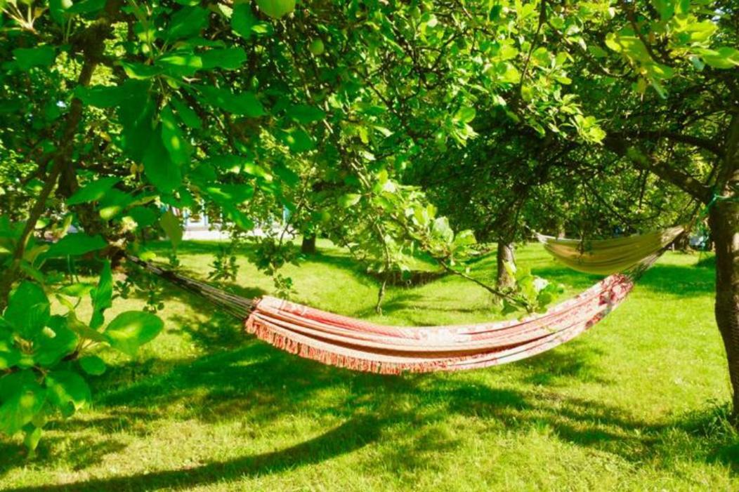 Forellenhof Nordhastedt Ngoại thất bức ảnh